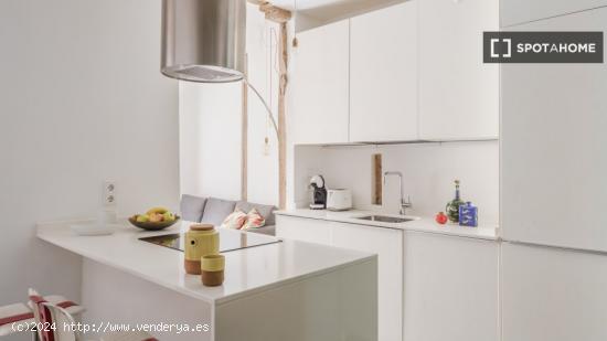 Apartamento de 1 dormitorio en alquiler en Lavapiés - MADRID