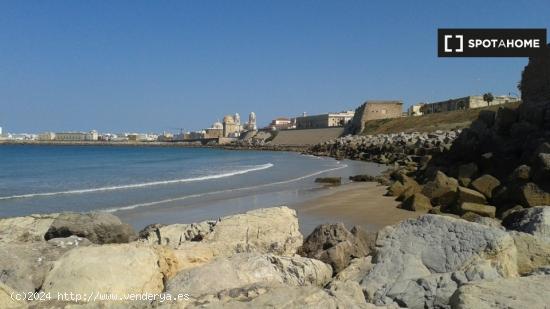 Habitación en piso compartido en Cádiz - CADIZ