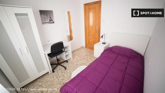 Alquiler de habitaciones en piso de 4 dormitorios en Alicante - ALICANTE