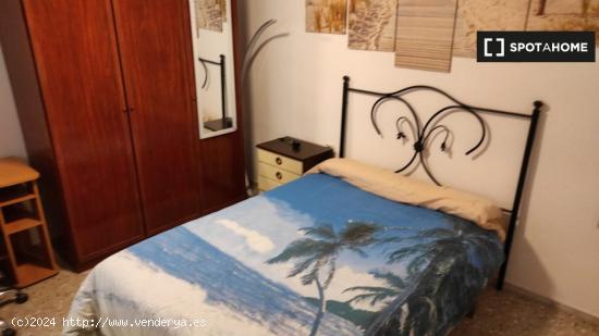 Se alquila habitación en piso de 3 habitaciones en Alicante - ALICANTE