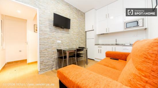 Moderno apartamento de 1 dormitorio en alquiler en Lavapiés - MADRID