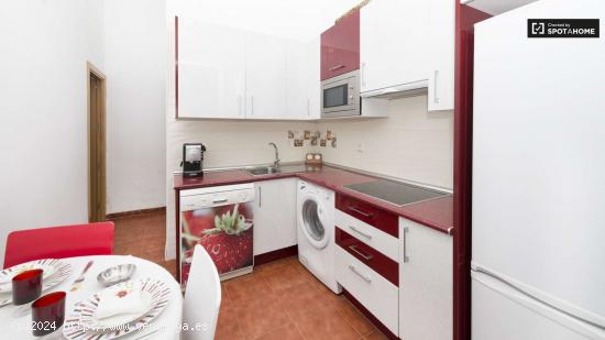 Apartamento de 2 dormitorios en alquiler en el corazón de Lavapiés - MADRID