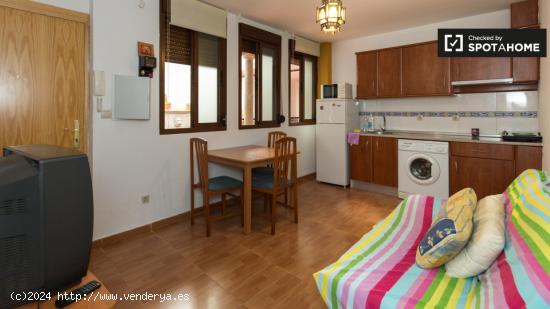 Tranquilo apartamento de 1 dormitorio en alquiler en Centro - GRANADA