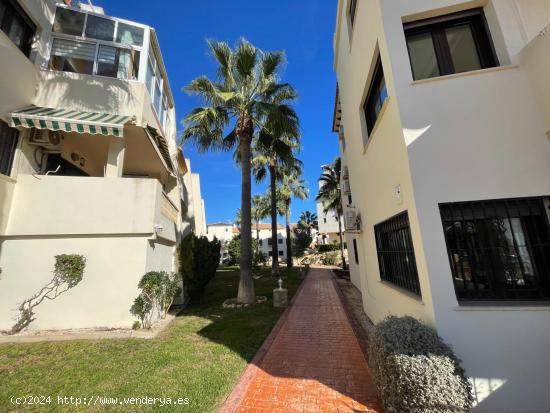 Unico Atico Duplex - ALICANTE