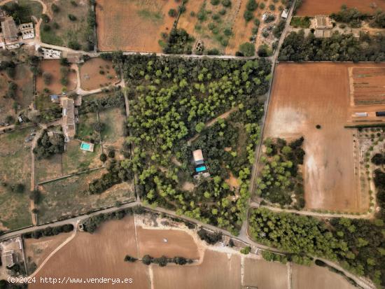 Joya única de arquitectura moderna con piscina de agua salada y ETV - BALEARES