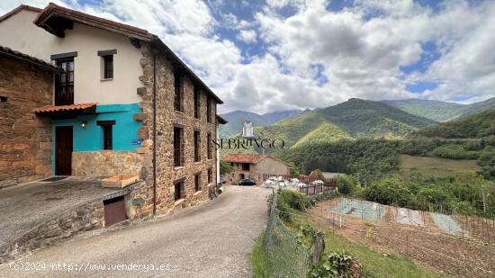 ¡EL NEGOCIO PERFECTO EN LIÉBANA, EQUIPADO, IMPECABLE Y EN FUNCIONAMIENTO! - CANTABRIA