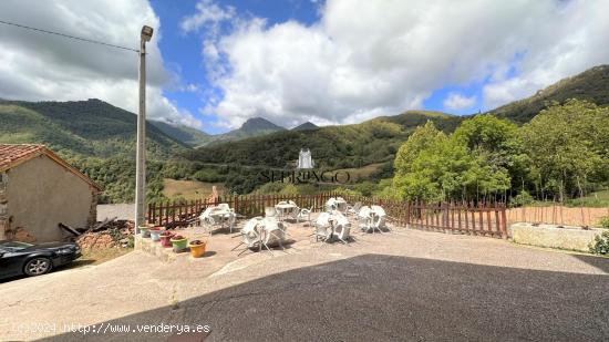 ¡EL NEGOCIO PERFECTO EN LIÉBANA, EQUIPADO, IMPECABLE Y EN FUNCIONAMIENTO! - CANTABRIA