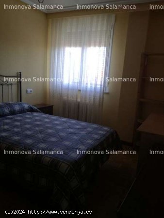 SALAMANCA ( Avda . Portugal - Campus ) : 4d y 2wc . 1100 € . - Salamanca