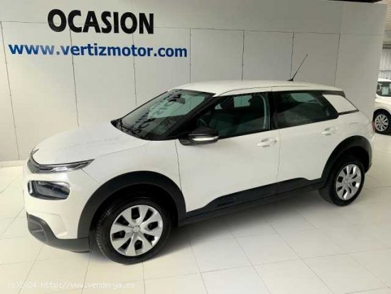  Citroen C4 Cactus Diesel ( 1.5BlueHDi S&S Business 100CV )  - Astigarraga 