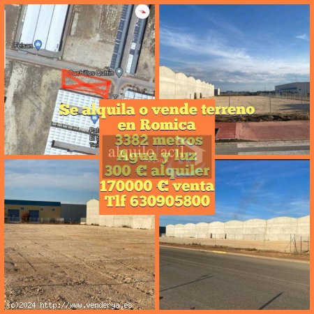 SE ALQUILA TERRENO EN ROMICA/ 3382 metros/ 300 €