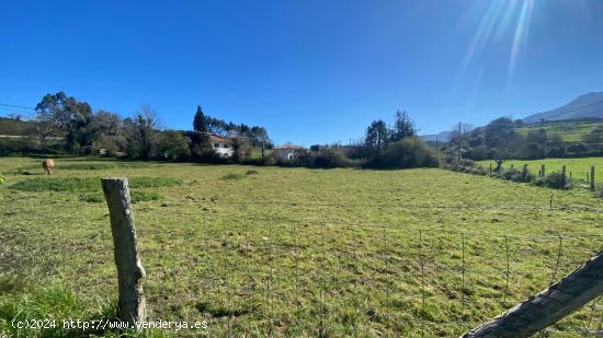 TERENO RUSTICO EN RIBADESELLA - ASTURIAS