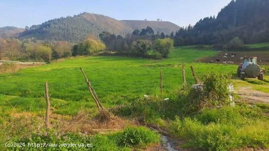 FINCAS RÚSTICAS EN NUEVA DE LLANES - ASTURIAS