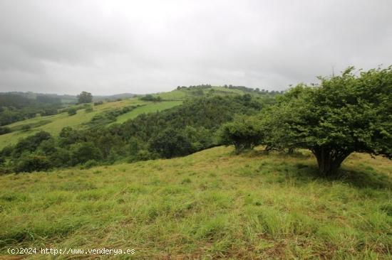 TERRENO PARA CONSTRUIR UNA CASA - CANTABRIA