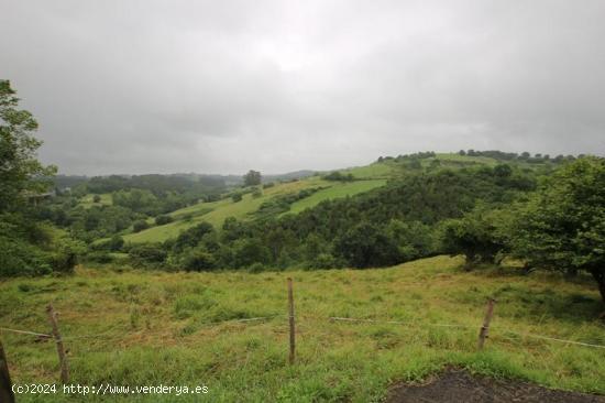 TERRENO PARA CONSTRUIR UNA CASA - CANTABRIA