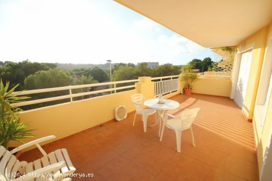 Apartamento con vistas en Campoamor .  Temporada baja. - ALICANTE