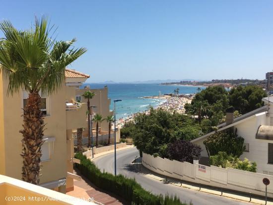 Apartamento con vistas en Campoamor .  Temporada baja. - ALICANTE