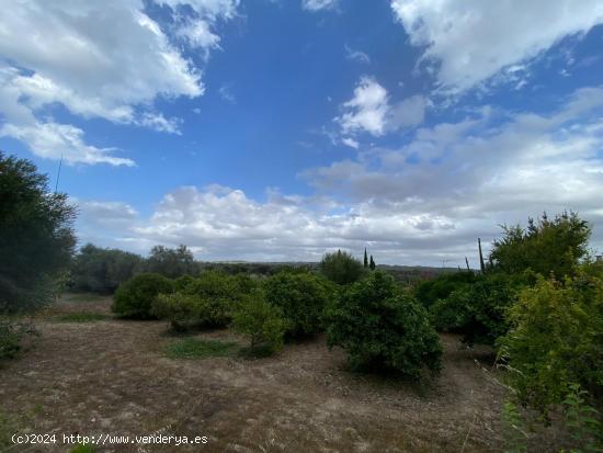 Casa de pueblo en Llubi - BALEARES