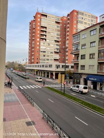 EN EL PASEO DEL HOSPITAL MILITAR - VALLADOLID