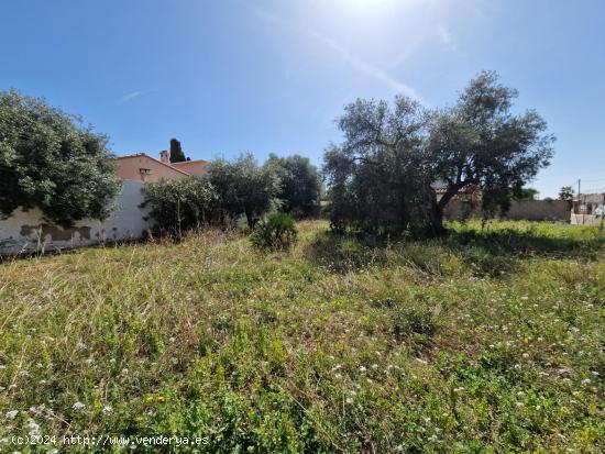 Terreno esquinero - TARRAGONA