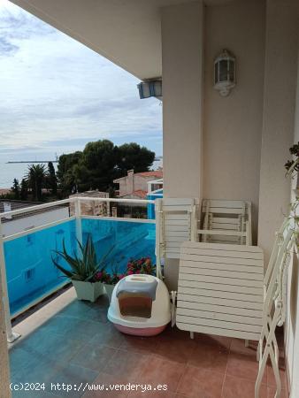 DUPLEX  EN ALCANAR PLAYA - TARRAGONA