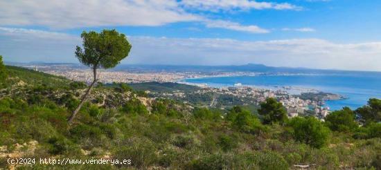 Espectacular apartamento en Génova con vistas panorámicas a la Bahía de Palma - BALEARES