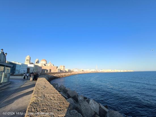  PISO EN EL CAMPO DE SUR - CADIZ 