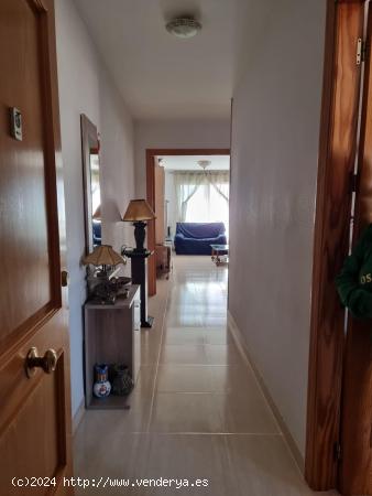 Se Vende en Vicar - ALMERIA