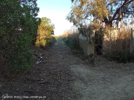  Finca Rustica en Ptda. el Molar San Fulgencio - ALICANTE 