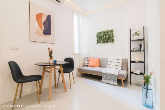 Apartamento entero de 1 habitaciones en Madrid - MADRID