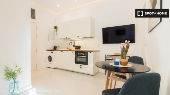 Apartamento entero de 1 habitaciones en Madrid - MADRID