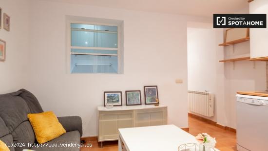 Apartamento de 1 dormitorio en alquiler en Embajadores, Madrid - MADRID