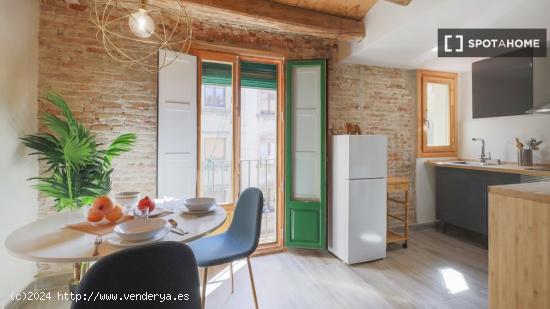 Apartamento de 1 dormitorio en alquiler en El Raval - BARCELONA