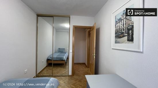 Se alquila habitación en apartamento de 3 dormitorios en Madrid - MADRID