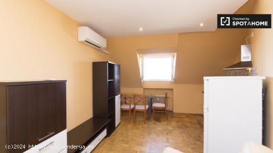 Amplio apartamento de 1 dormitorio en alquiler en Pozuelo de Alarcón - MADRID