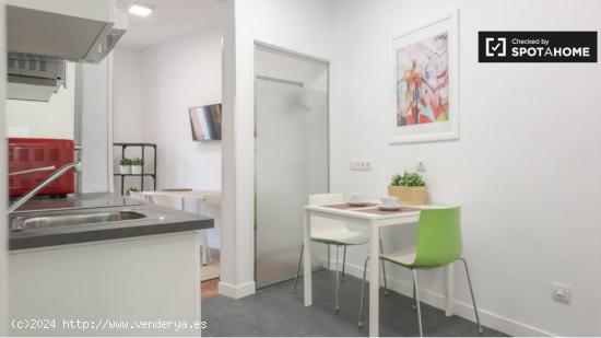 Apartamento de 1 dormitorio en alquiler en Embajadores, Madrid - MADRID