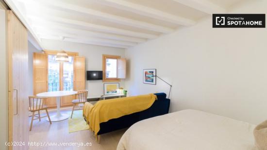 Estudio en alquiler en El Raval, Barcelona - BARCELONA