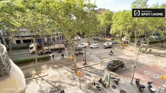 Se alquila habitación en piso de 7 habitaciones en Barcelona - BARCELONA