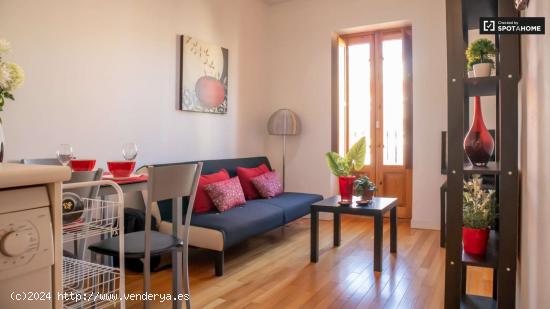  Apartamento de 1 dormitorio en alquiler en Puerta del Angel, Madrid - MADRID 