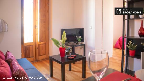 Apartamento de 1 dormitorio en alquiler en Puerta del Angel, Madrid - MADRID