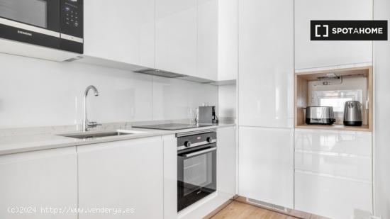 Piso de 1 dormitorio en alquiler en Recoletos, Madrid MAD-36 - MADRID