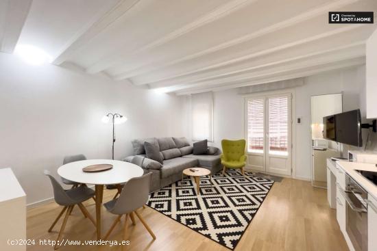 Apartamento de 1 dormitorio en alquiler en El Raval - BARCELONA