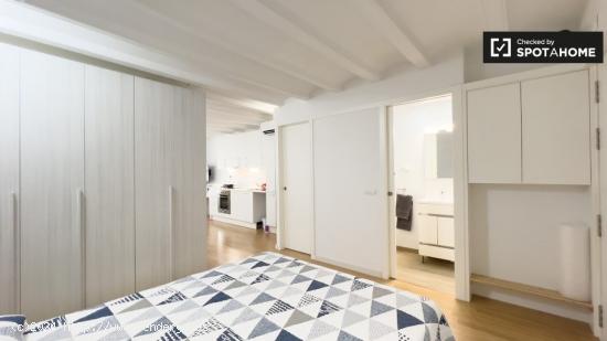 Apartamento de 1 dormitorio en alquiler en El Raval - BARCELONA