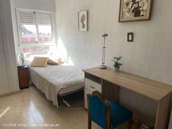 Se alquila habitación en piso de 3 dormitorios en alquiler en Alicante - ALICANTE