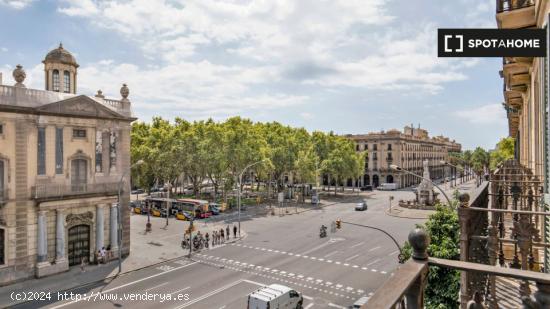 Apartamento de 3 dormitorios en alquiler en Barcelona - BARCELONA