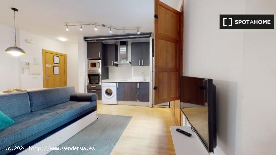 Apartamento de 1 dormitorio en alquiler en Ciutat Vella - VALENCIA