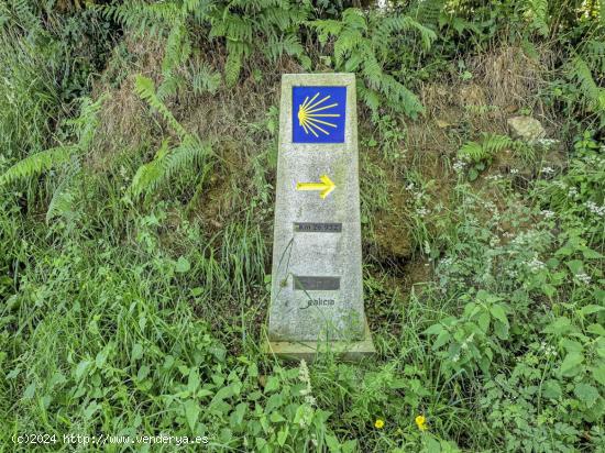 ¡Sueña Despierto en el Camino de Santiago! - A CORUÑA