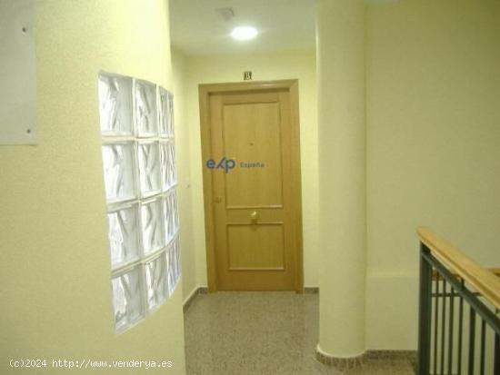 Apartamentos en el corazón de Alcantarilla - MURCIA