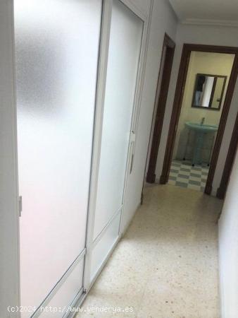 Apartamento soleado con 2 patios exclusivos en Torrevieja - ALICANTE