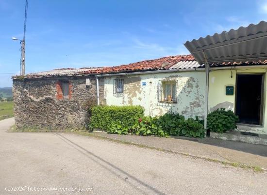 CASA DE PIEDRA CON AMPLIO PAJAR, CUADRAS, ALMACÉN Y TERRAZA EN CEZURES, TINEO. ASTURIAS. - ASTURIAS