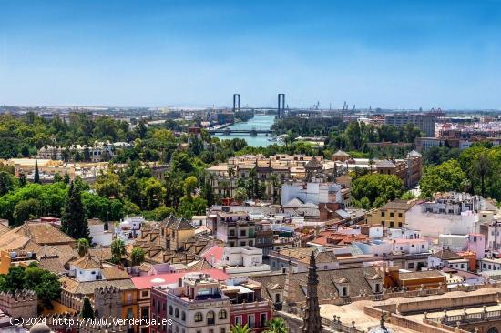 Nave Industrial de 1000 m2: Espacio Versátil y Estratégicamente Ubicado - SEVILLA